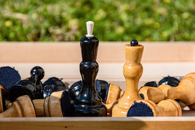 准的跆拳道 准的跆拳道