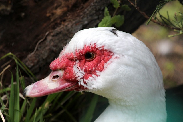 都需要通过 都需要通过